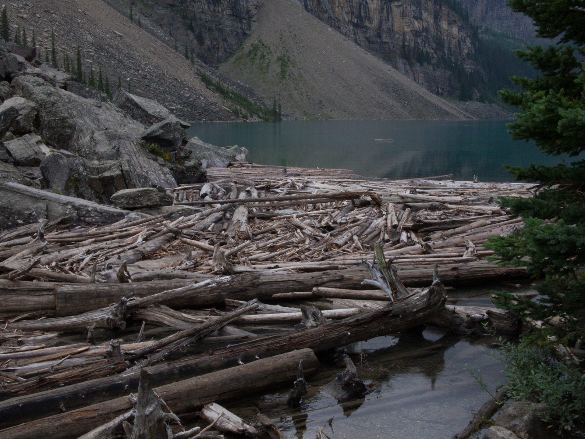 , Alberta, Canada [Aug 2014]