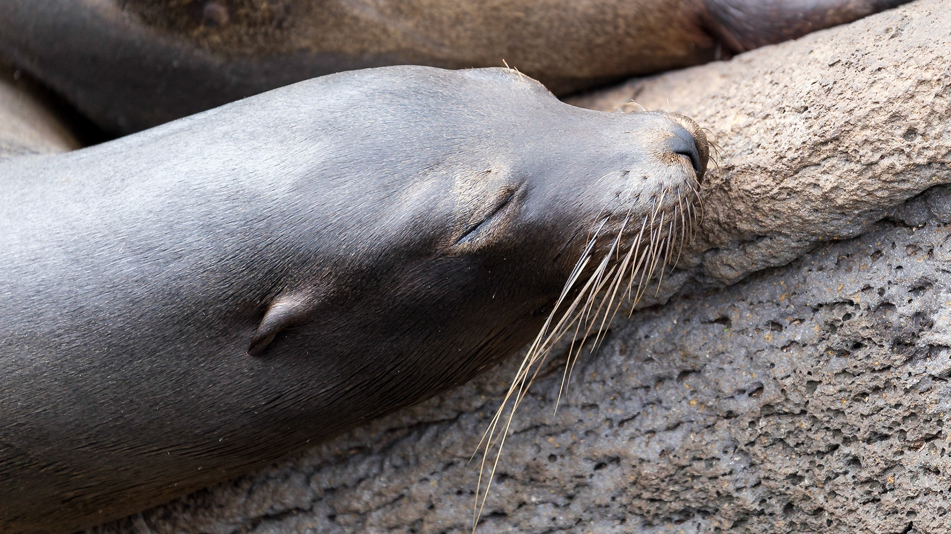 San Cristóbal Canton, Galápagos, Ecuador [Mar 2022]