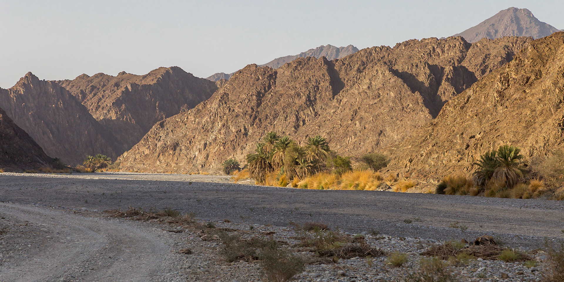 Al Awabi, Al Batinah South Governorate, Oman [Mar 2018]