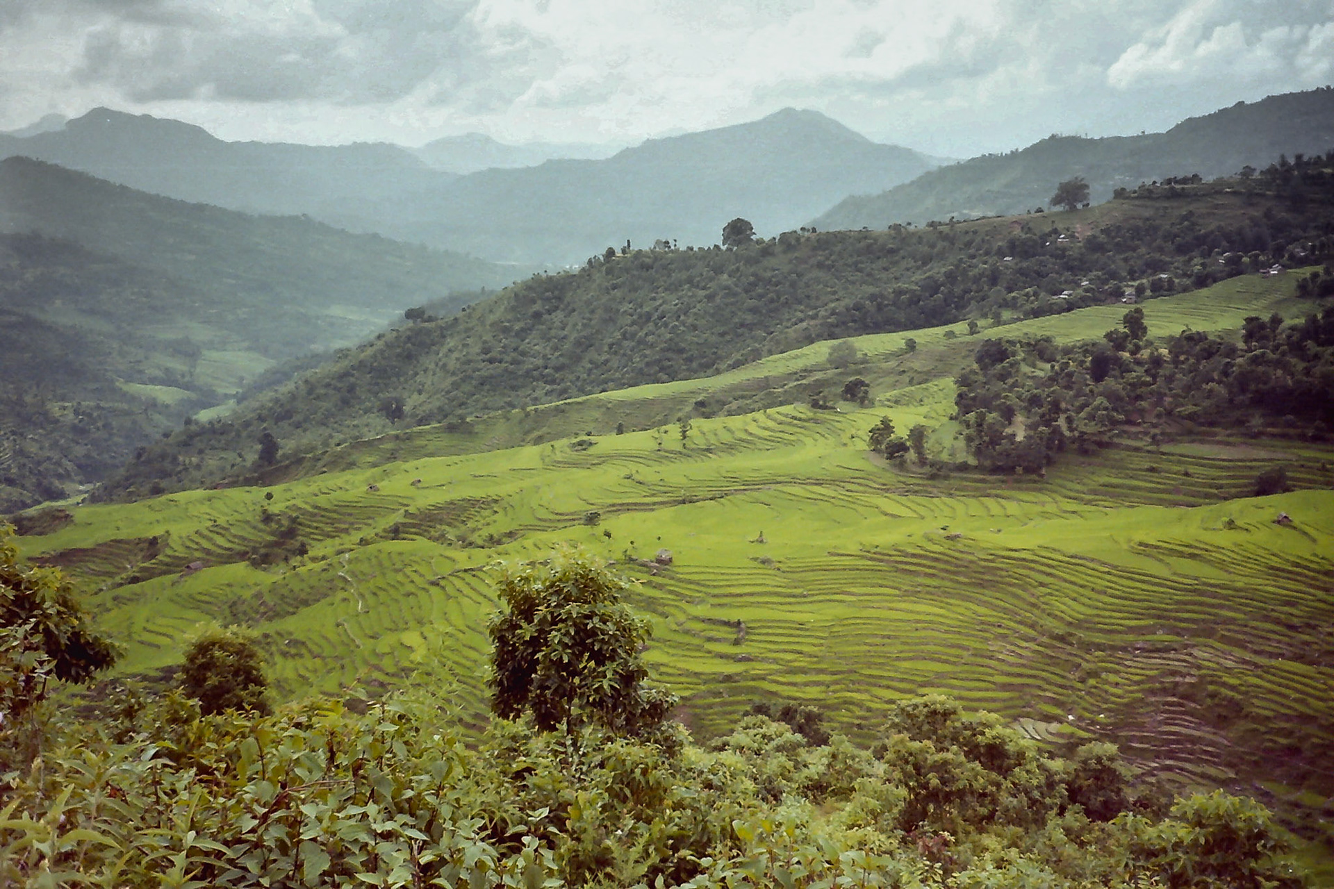 Kotre, Pokhara, Nepal [Aug 1998]