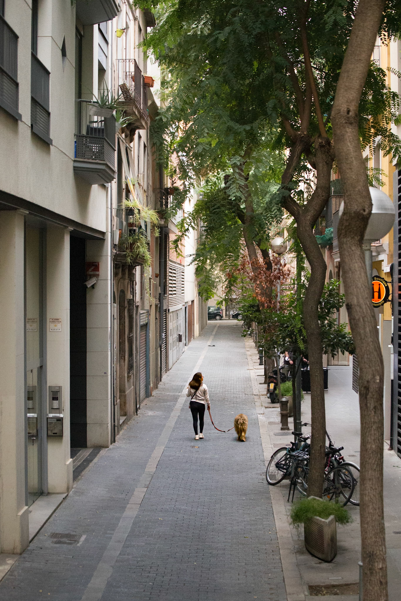 Barcelona, Barcelona, Spain [Oct 2022]