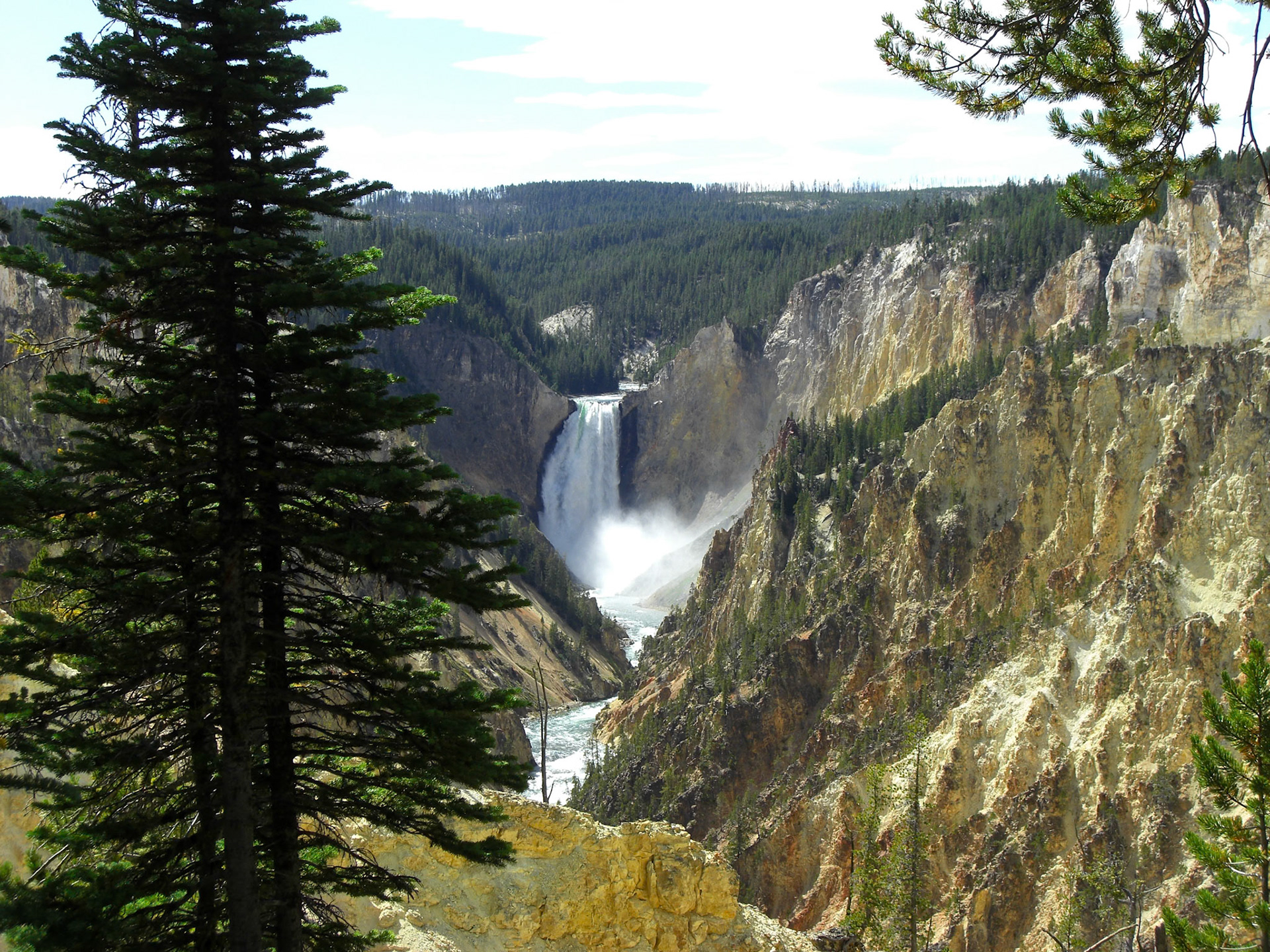 Yellowstone National Park, Wyoming, United States [Aug 2008]