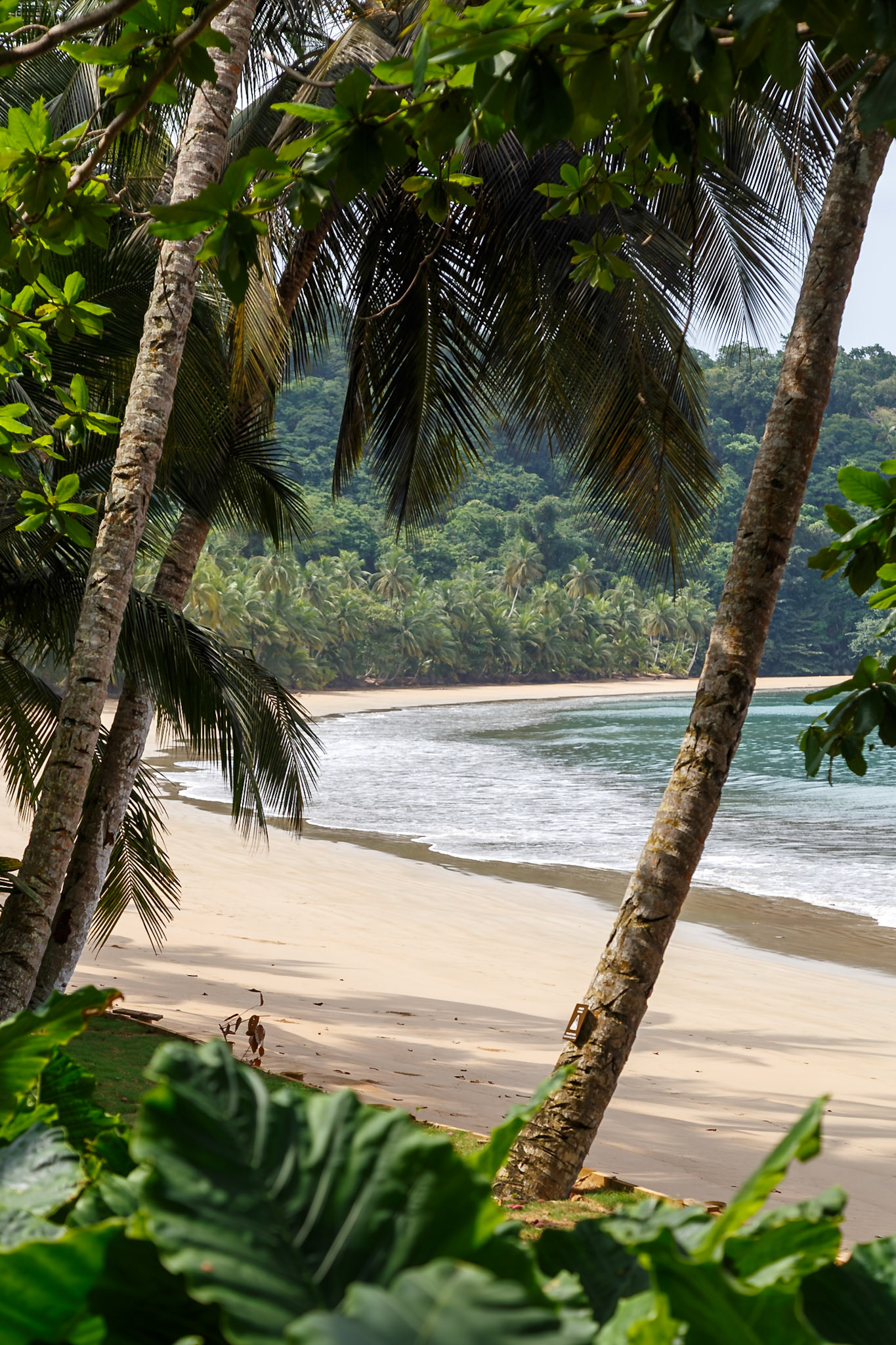 , Pagué, São Tomé and Príncipe [Jan 2026]