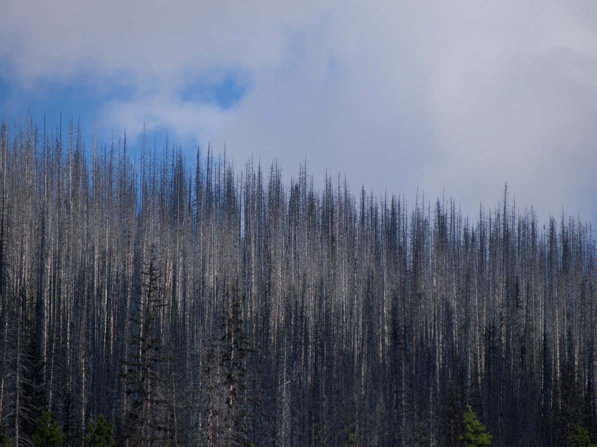 Regional District of East Kootenay, British Columbia, Canada [Aug 2014]
