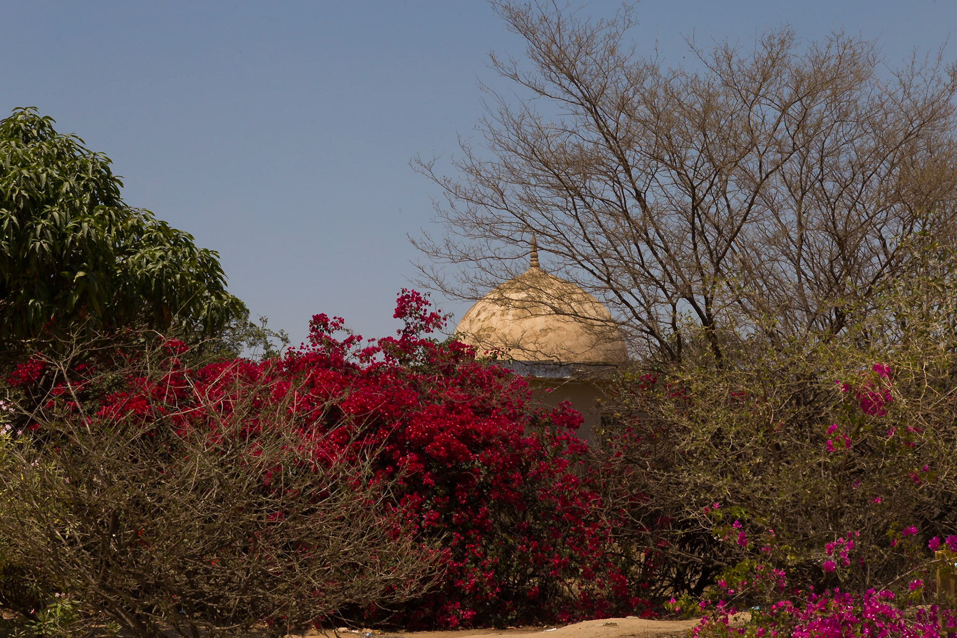 Salalah, Dhofar Governorate, Oman [Mar 2018]