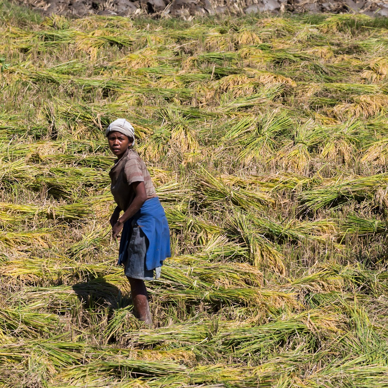Manandona, Vakinankaratra, Madagascar [Apr 2019]