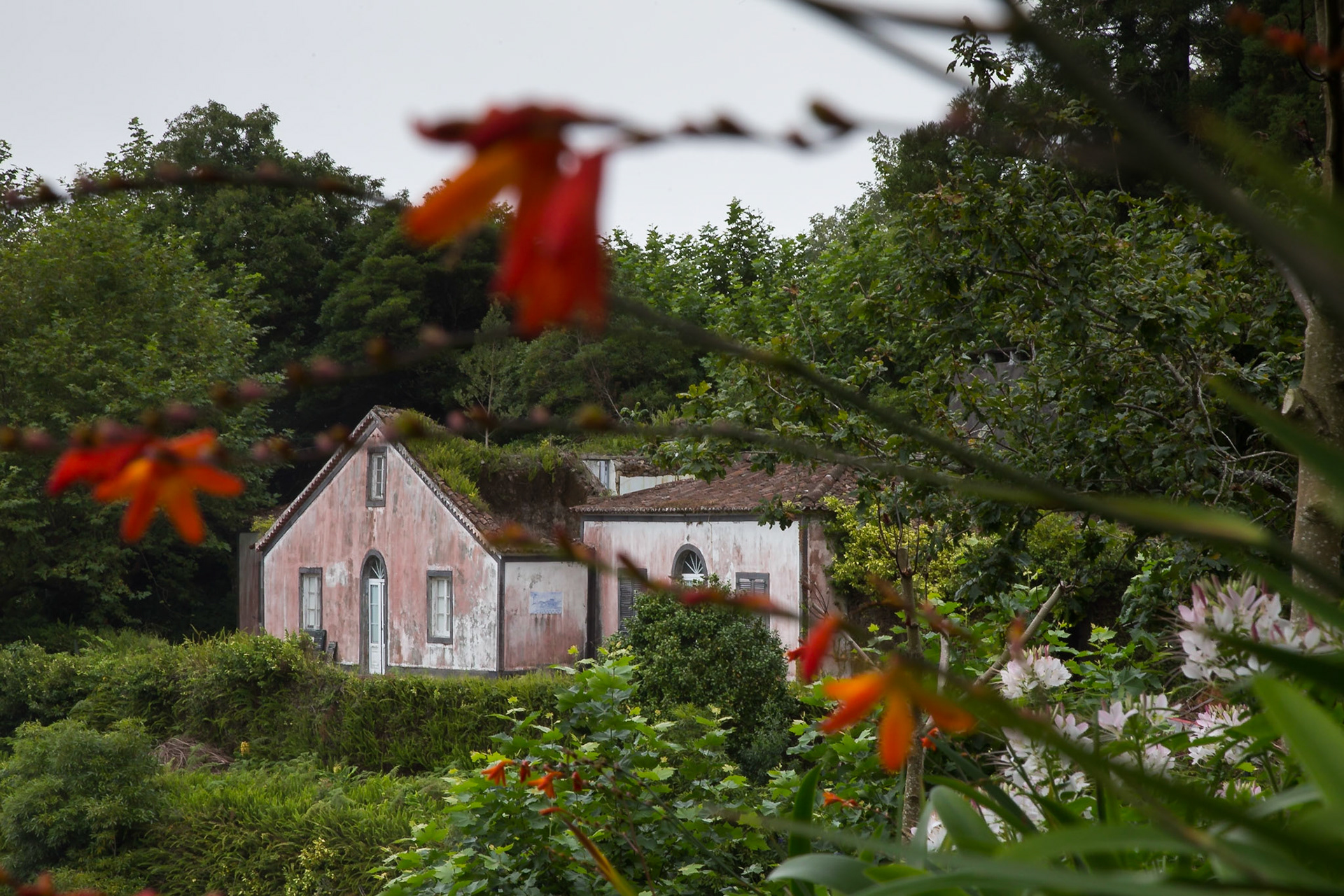 Ribeira Grande, Azores, Portugal [Aug 2019]