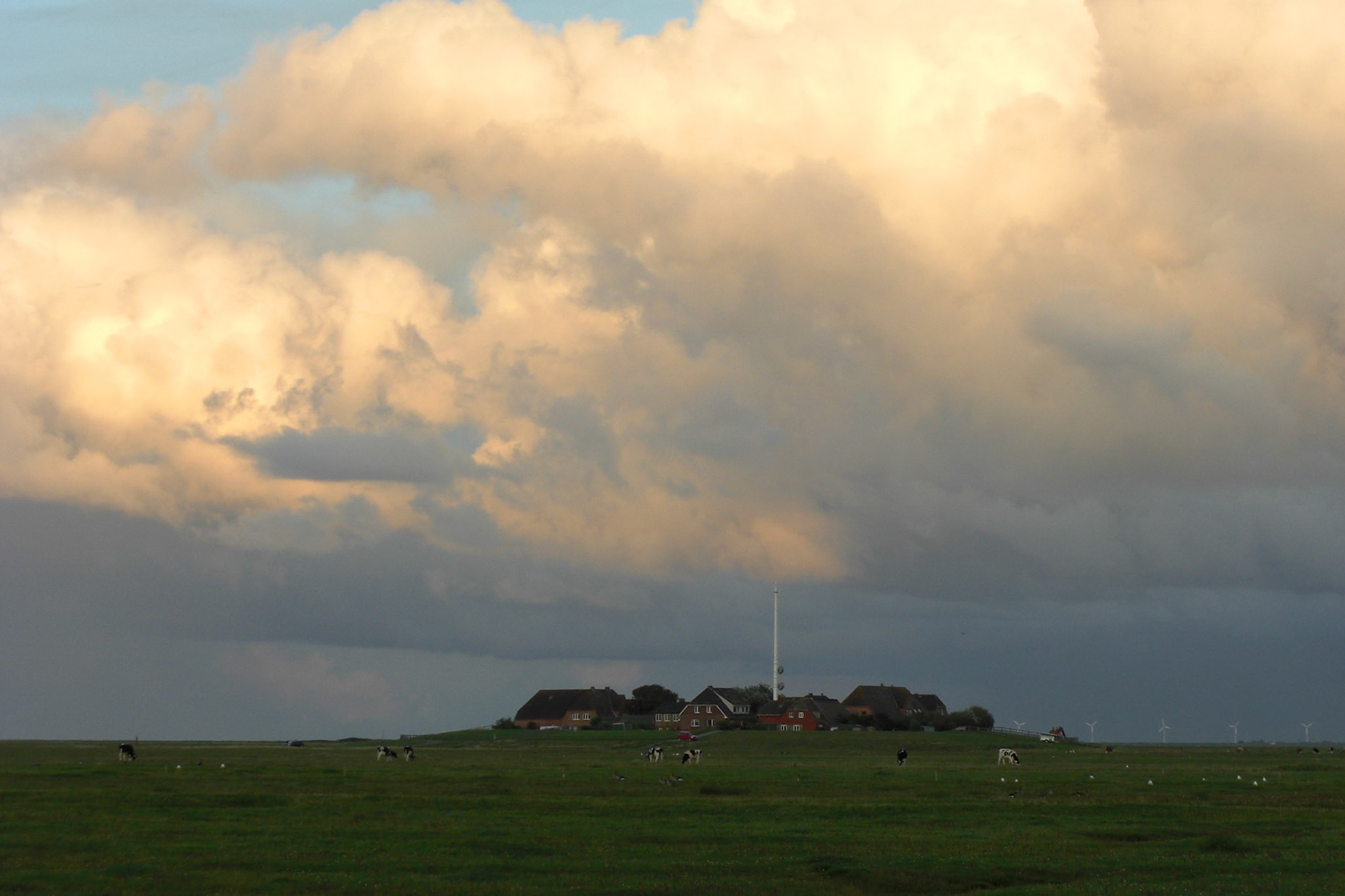 Hallig Hooge, Schleswig-Holstein, Germany [Aug 2010]