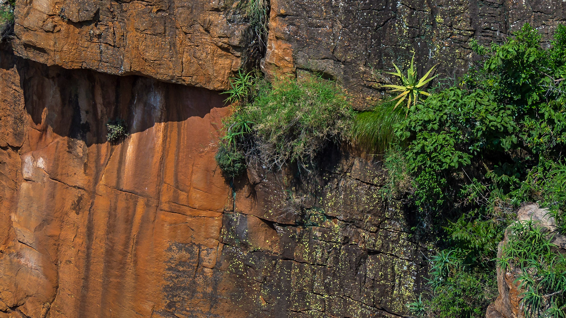 Blyde, Ohrigstad, Limpopo, South Africa [Mar 2016]