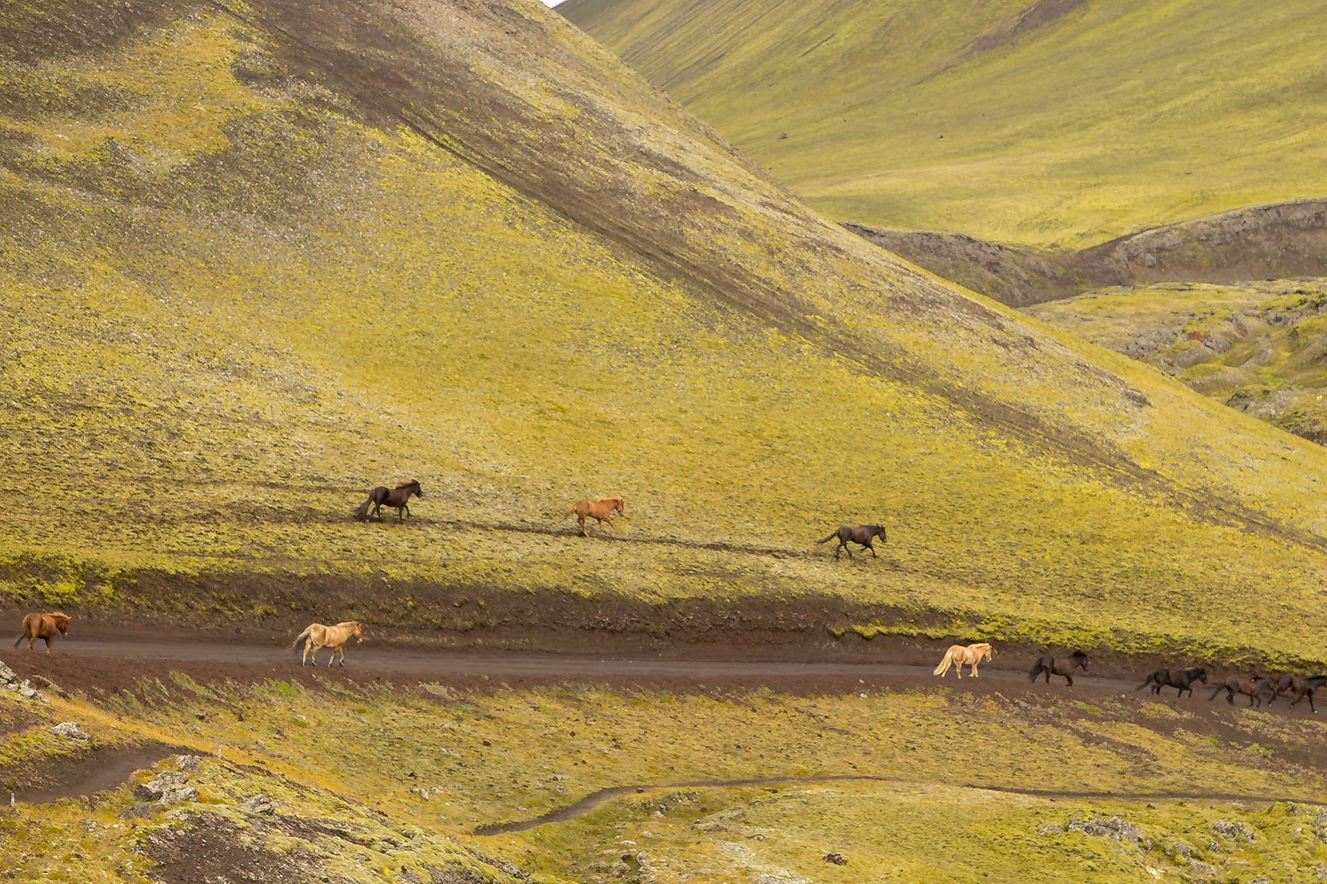 Frostastačavatn, Rangárping Ytra, iceland [Sept 2018]