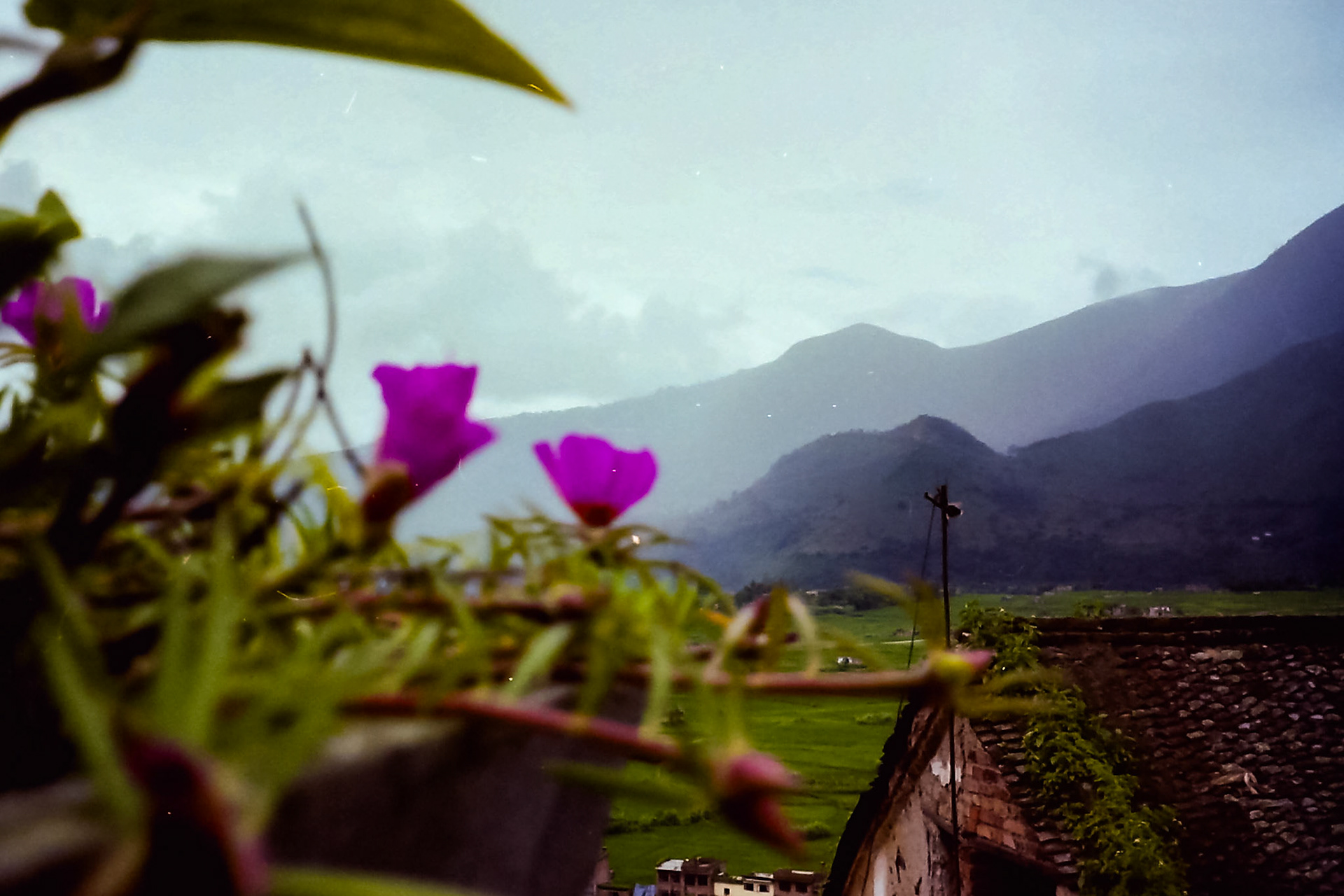 Kathmandu, Bagmati, Nepal [Aug 1998]