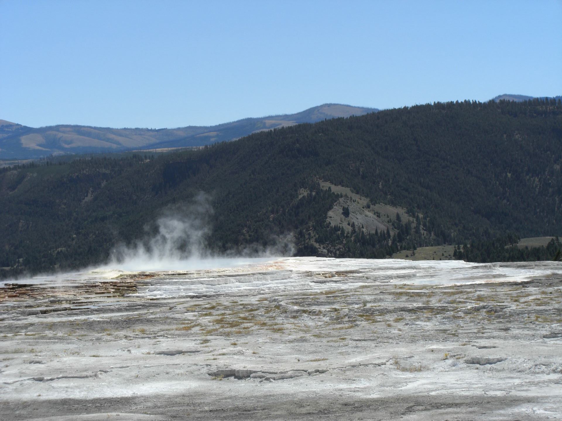 Yellowstone National Park, Wyoming, United States [Aug 2008]