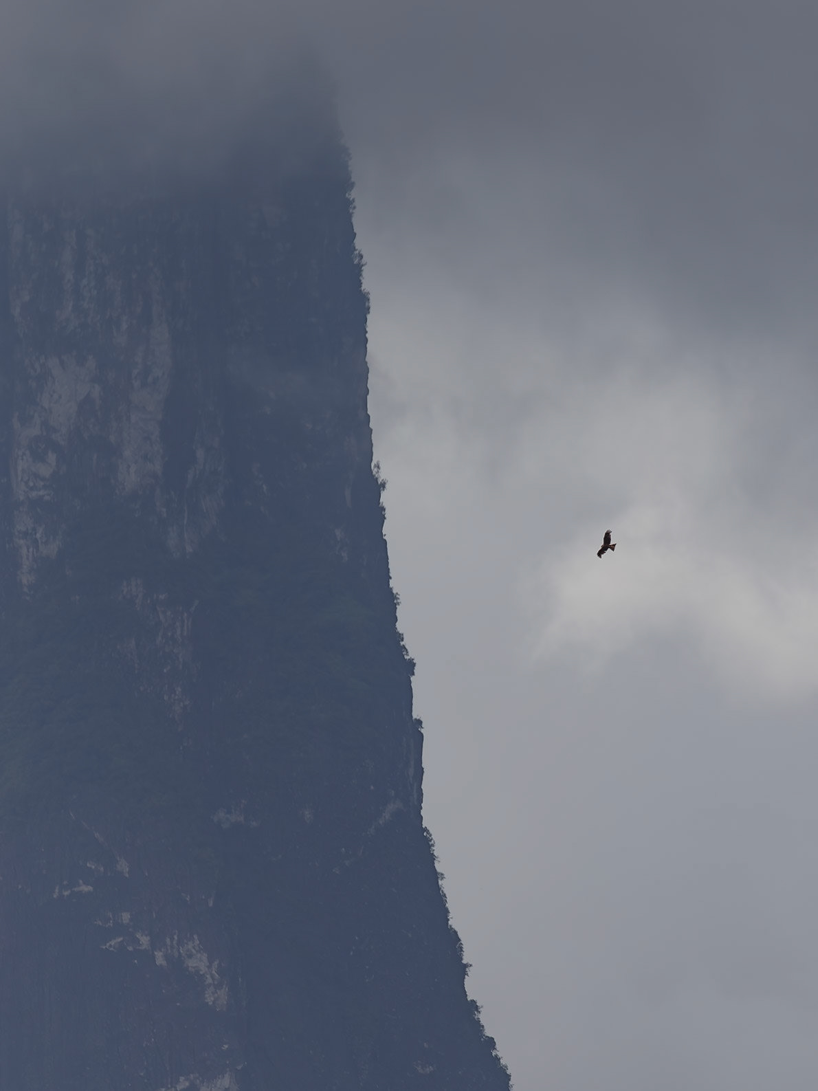 , Caué, São Tomé and Príncipe [Jan 2026]
