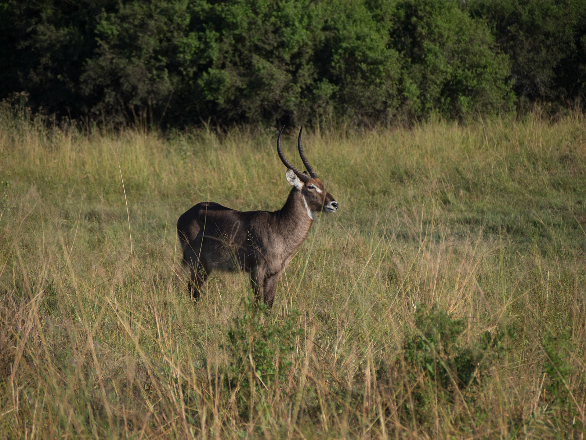 , North West, Botswana [Apr 2014]