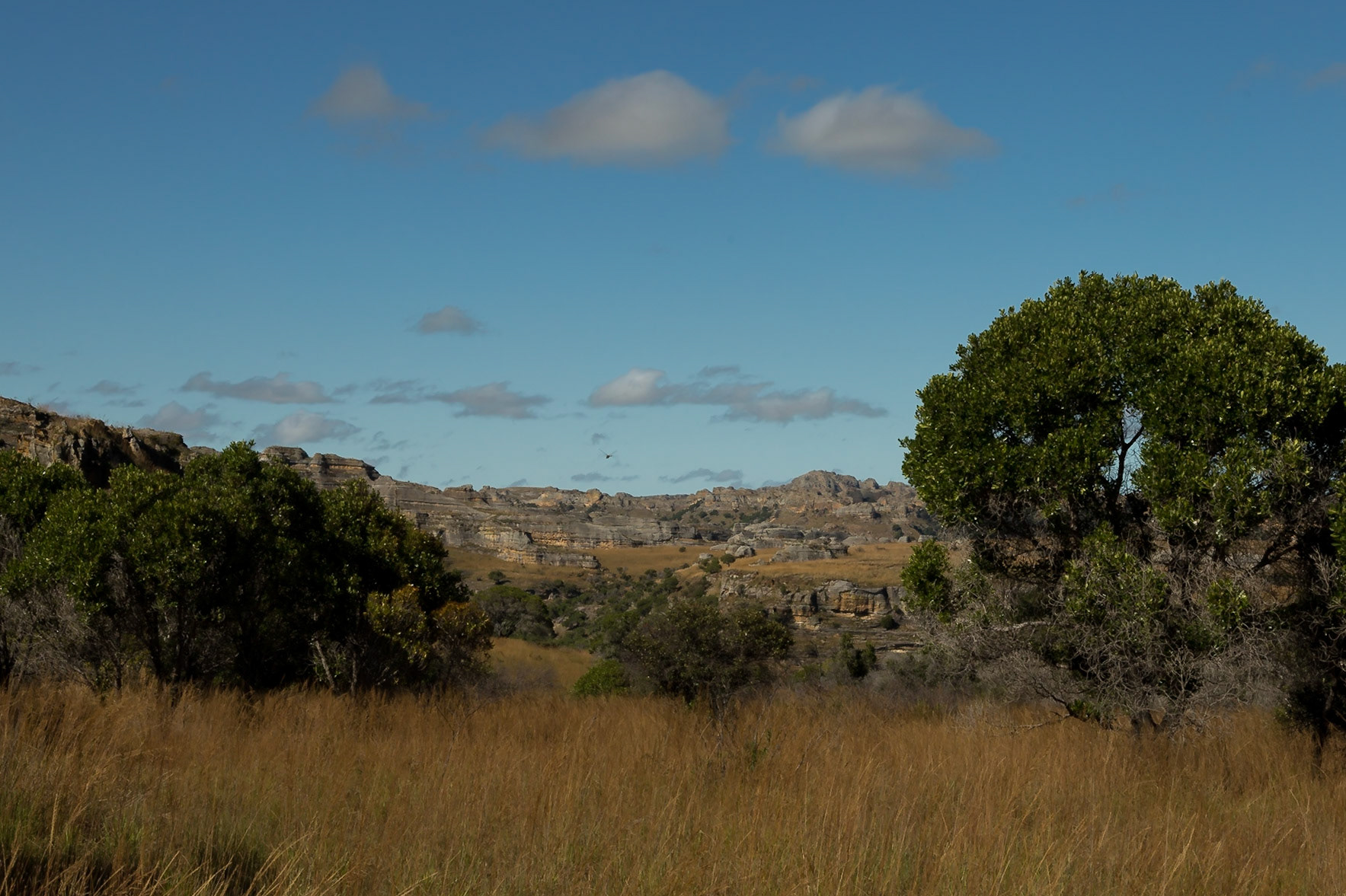 Ranohira, Ihosy, Madagascar [Apr 2019]