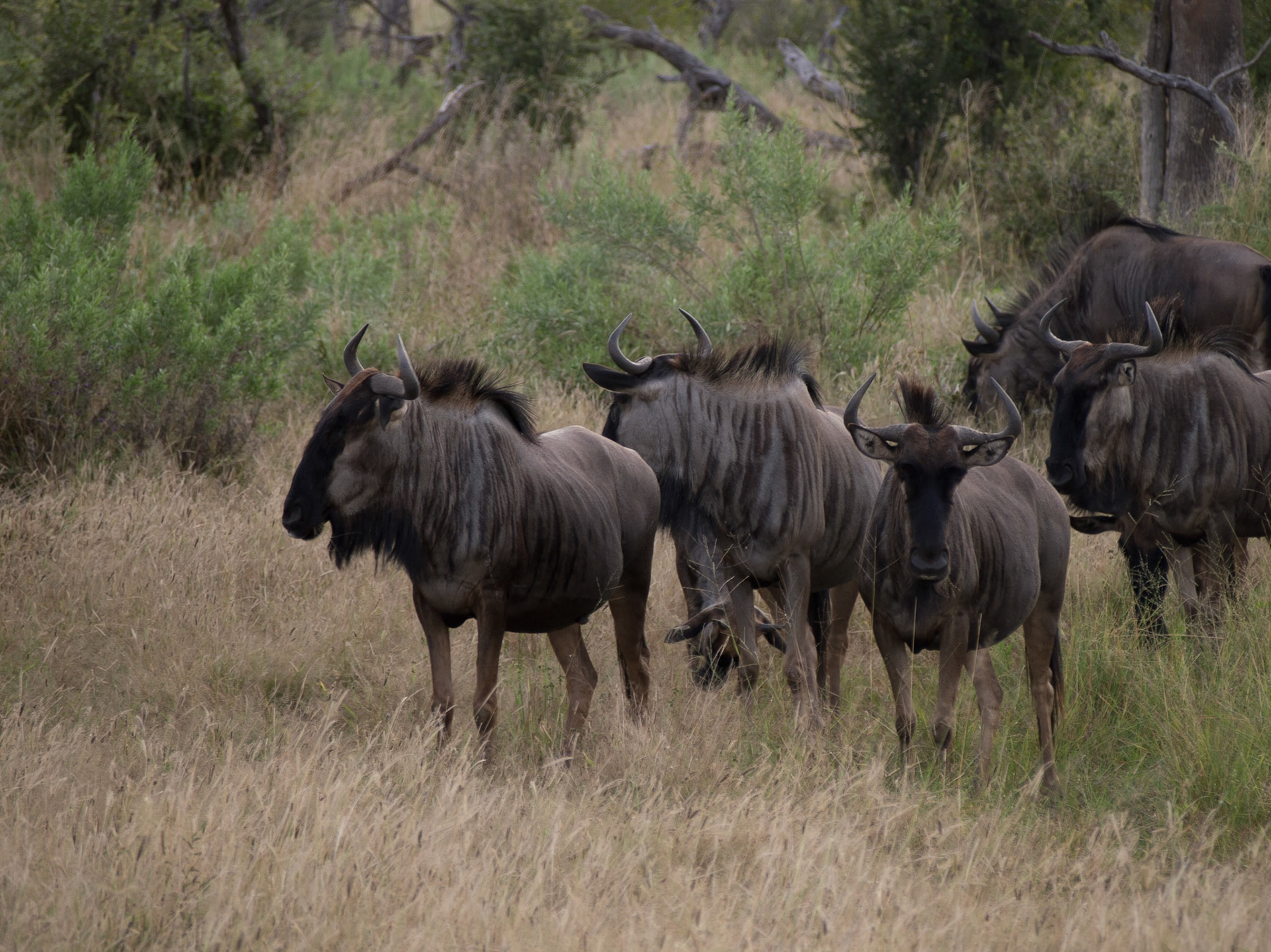, North West, Botswana [Apr 2014]