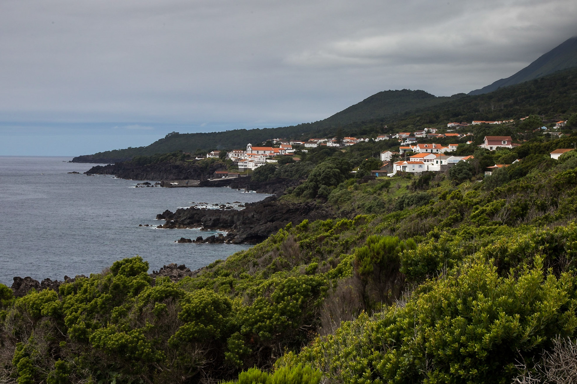 São João, Azores, Portugal [Aug 2019]