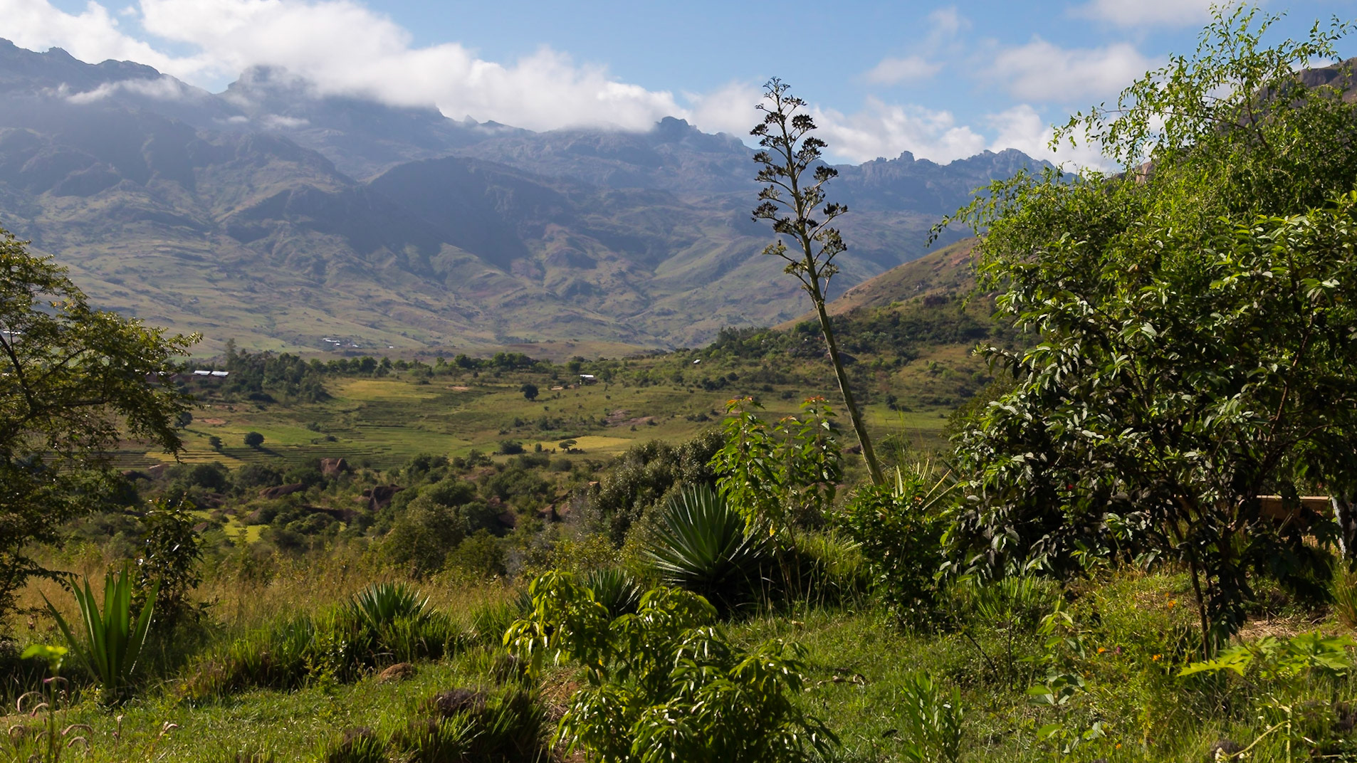 Camp Catta, Haute Matsiatra, Madagascar [Apr 2019]