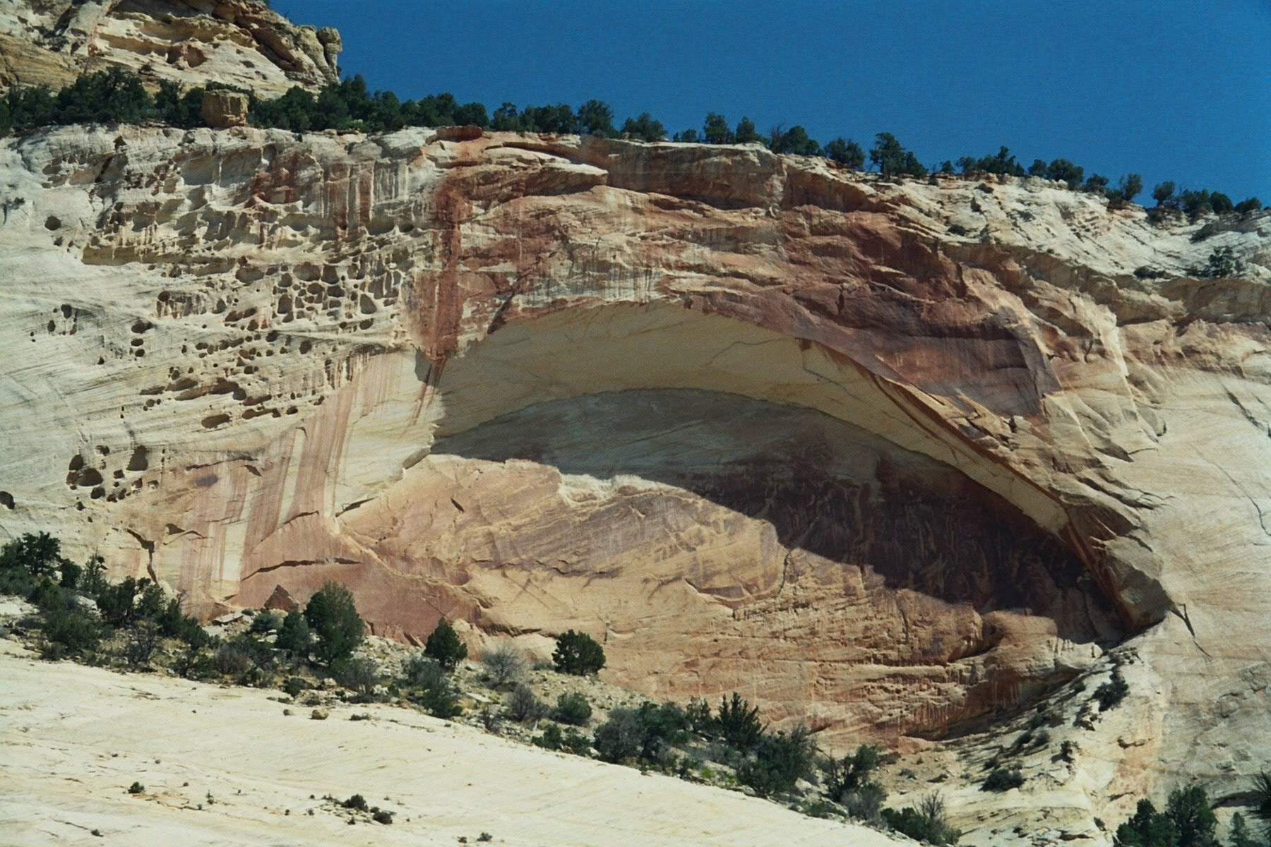 Springdale, Utah, United States [Aug 2008]