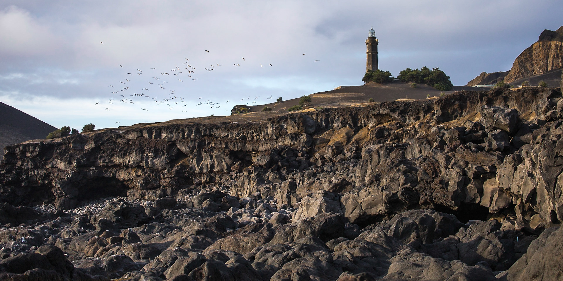 Capelo, Azores, Portugal [Aug 2019]