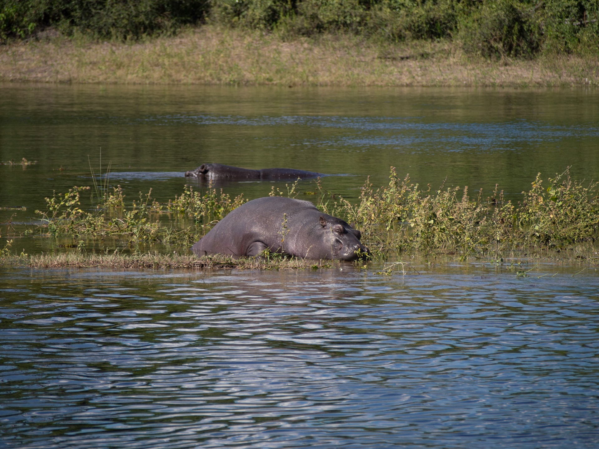 , North West, Botswana [Apr 2014]