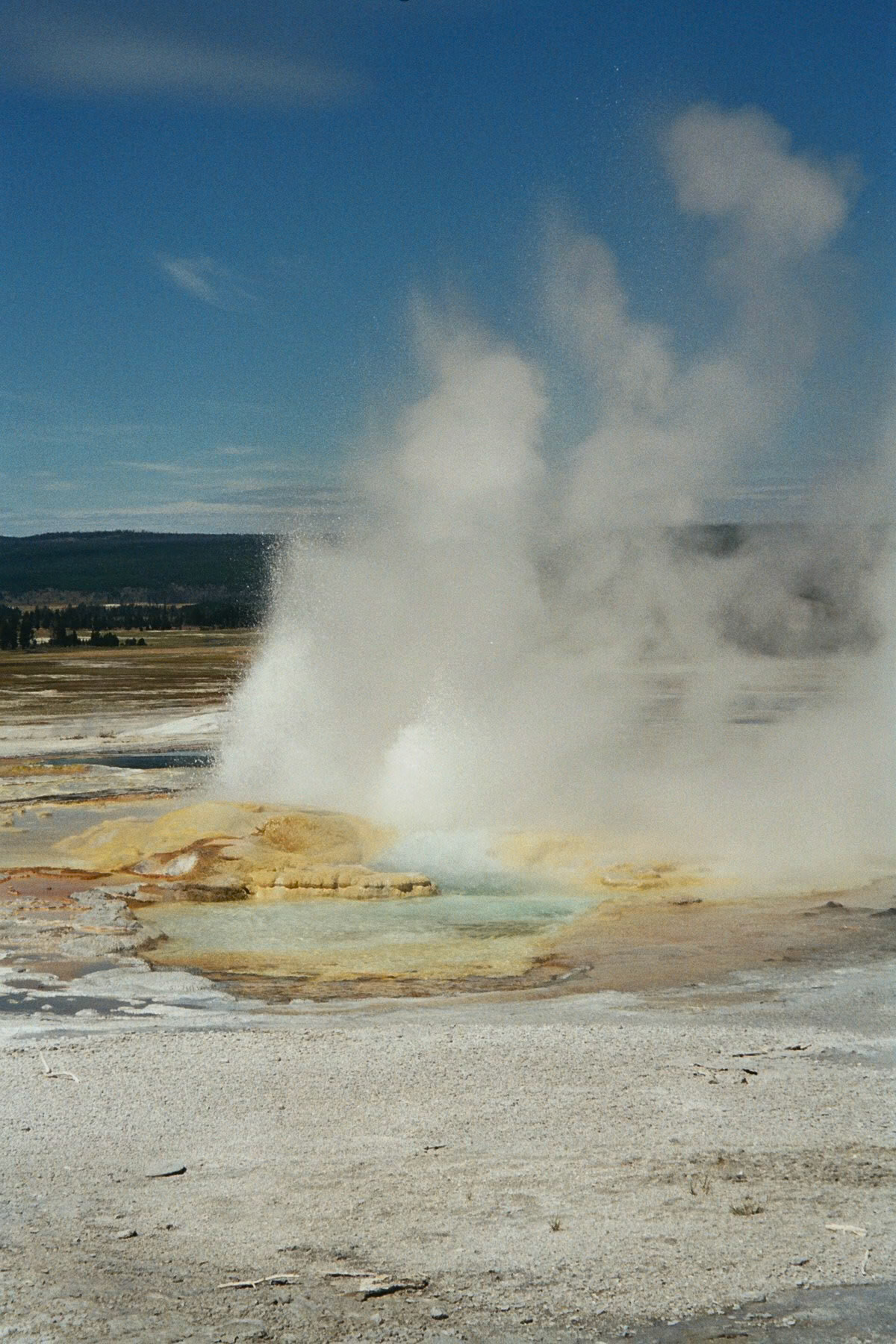 Yellowstone National Park, Wyoming, United States [Aug 2008]