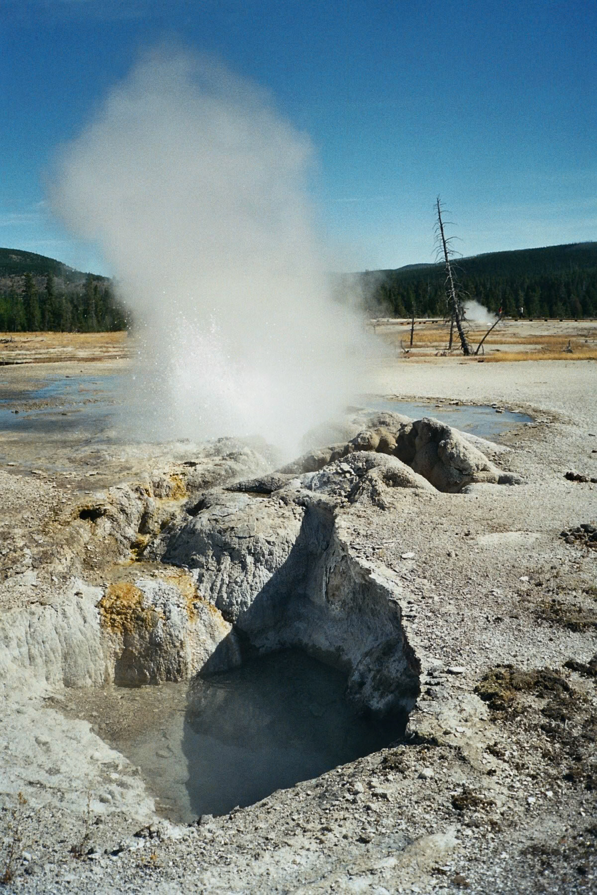 080820 - USA - Yellowstone Geysers - Grand Canyon of the Yellowstone - Chico Hot Springs