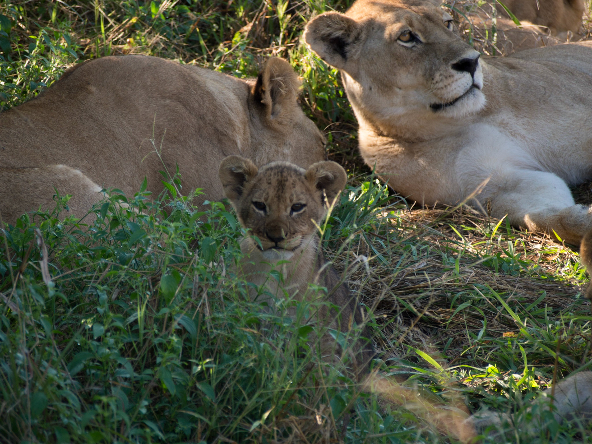 , North West, Botswana [Apr 2014]