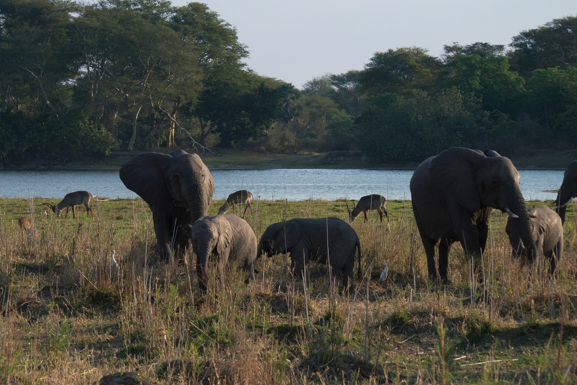 Liwonde, Southern Region, Malawi [Aug 2016]