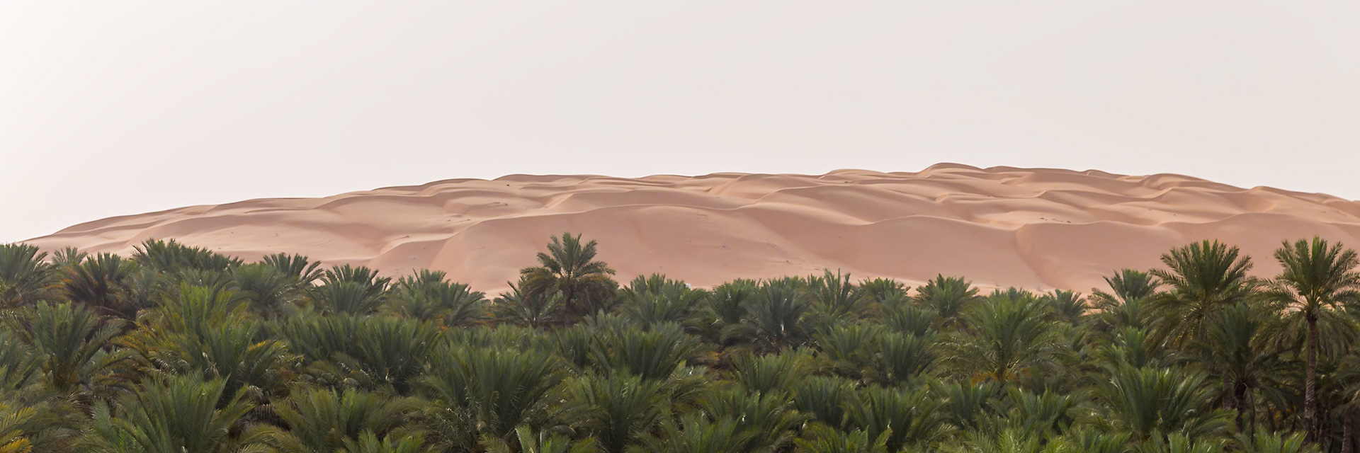 Bidiya, Ash Sharqiyah North Governorate, Oman [Apr 2018]