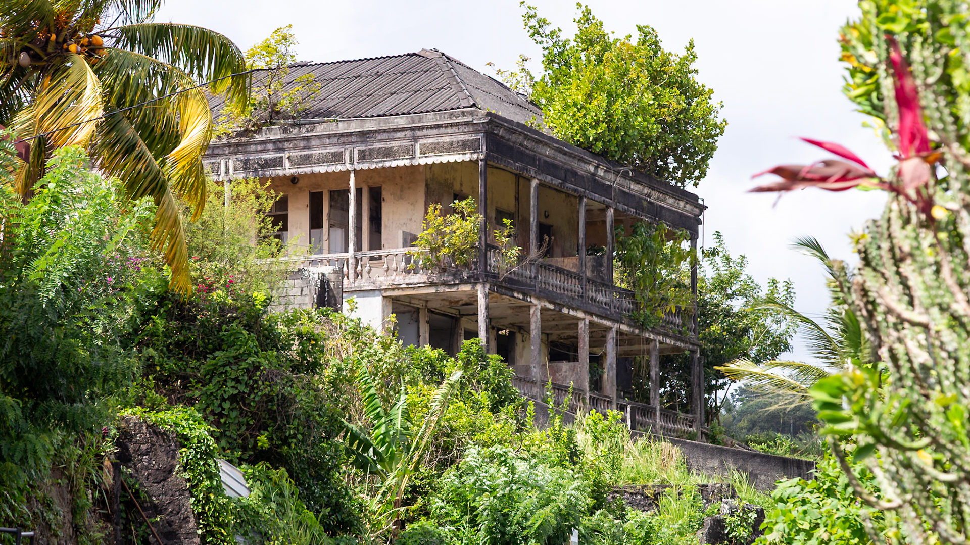Sacre Coeur de Balata, Fort-de-France, Martinique [Jan 2025]