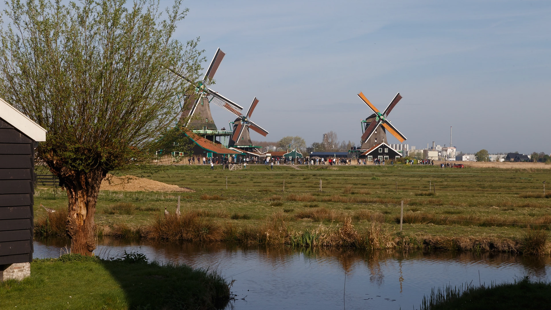 Zaandam, North Holland, Netherlands [Apr 2025]