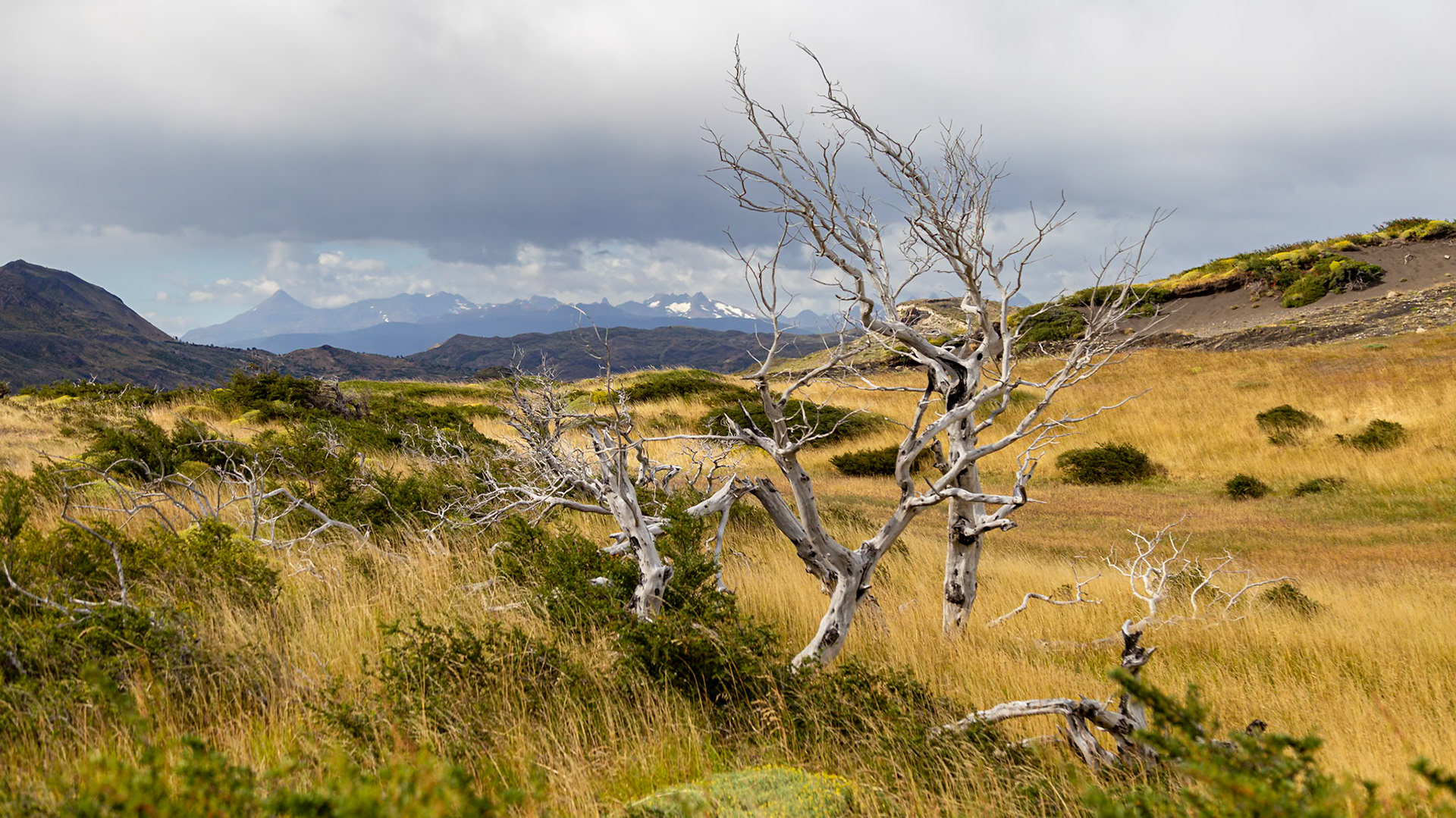 Torres del Paine, Magellan and the Chilean Antarctic, Chile [Feb 2024]