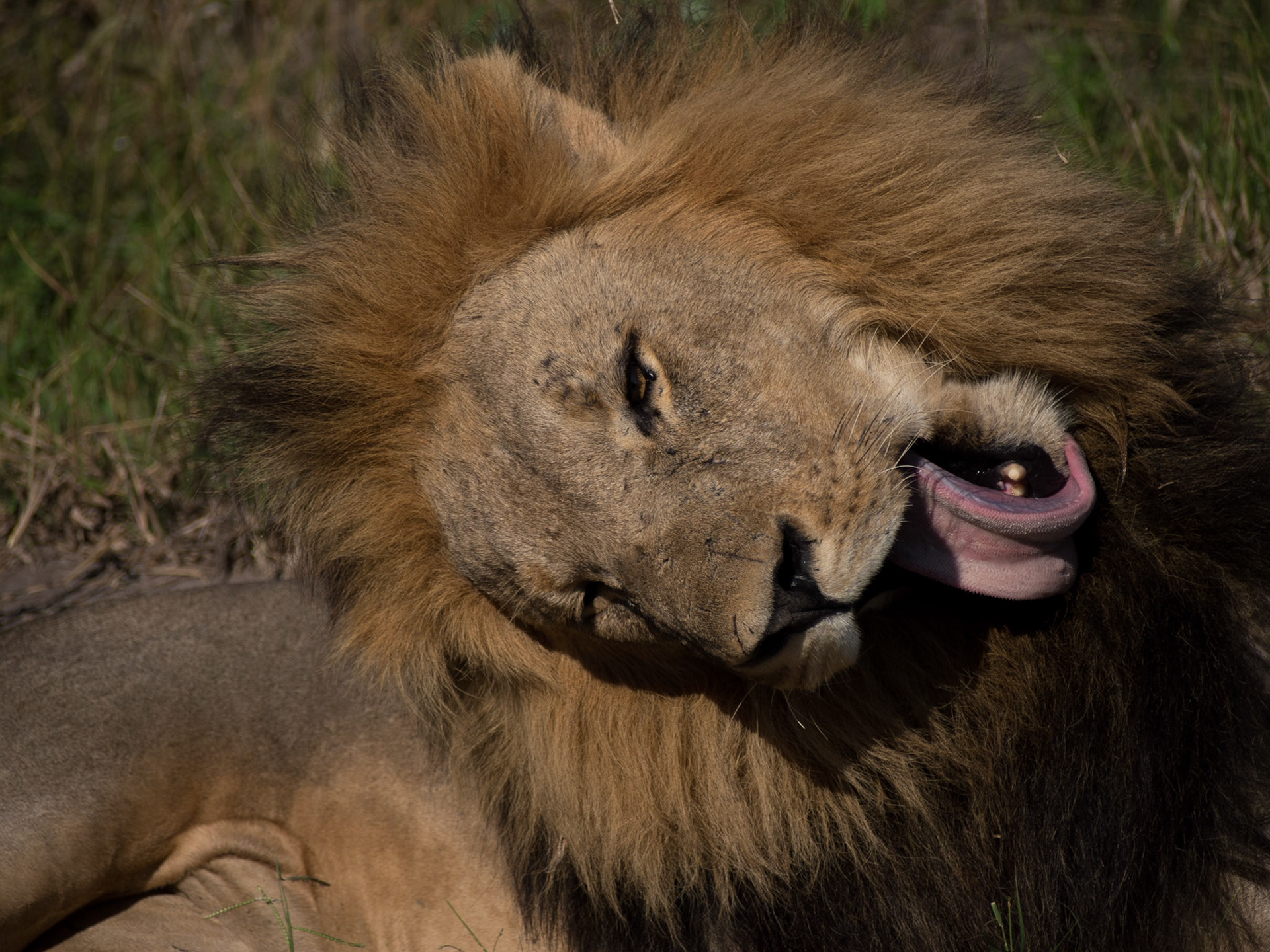 , North West, Botswana [Apr 2014]