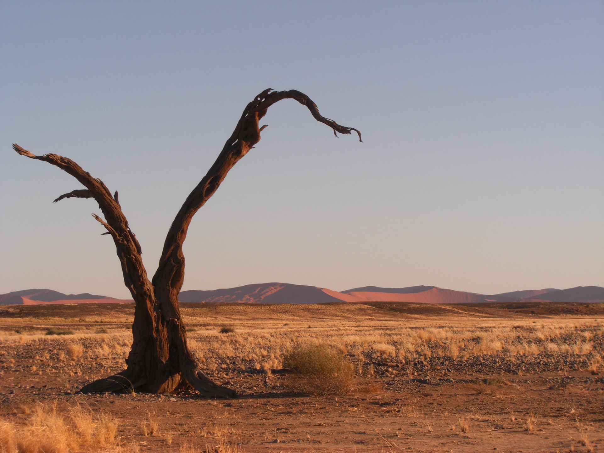, Hardap, Namibia [Apr 2010]