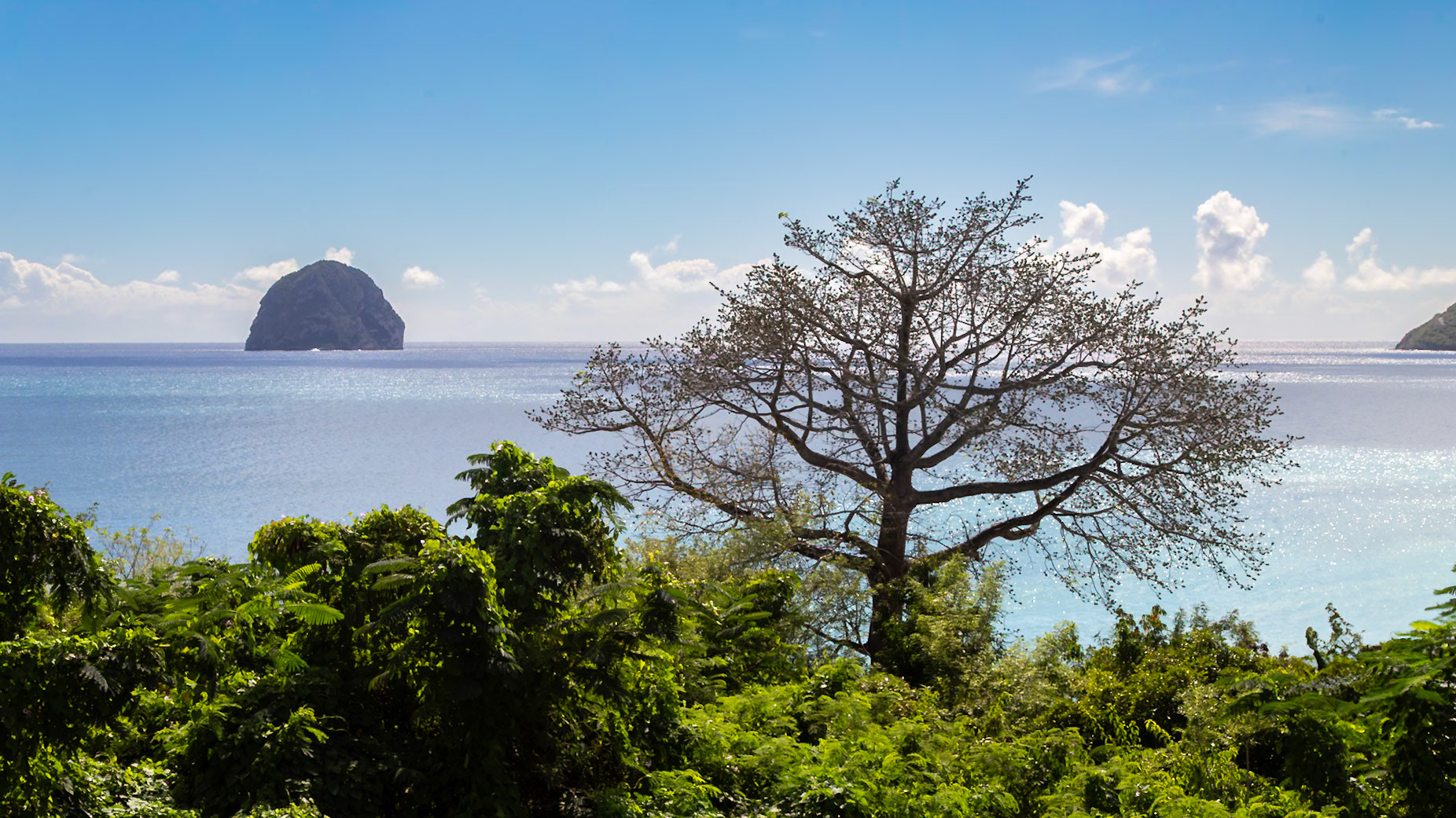 Le Diamant, Le Marin, Martinique [Feb 2025]