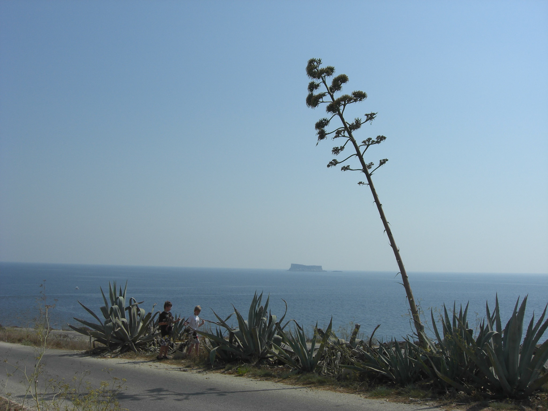 , Birkirkara, Malta [Aug 2011]