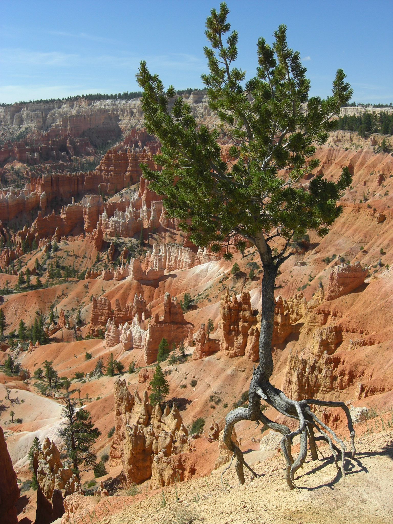 Tropic, Utah, United States [Aug 2008]
