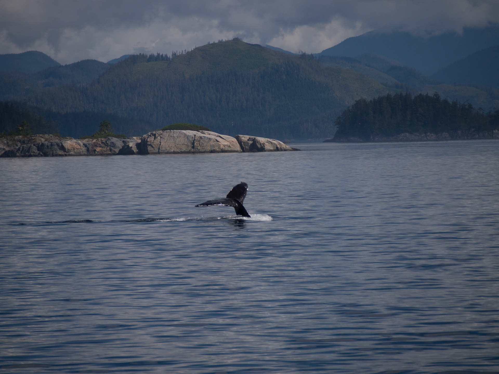 Vancouver Island, British Columbia, Canada [Aug 2014]