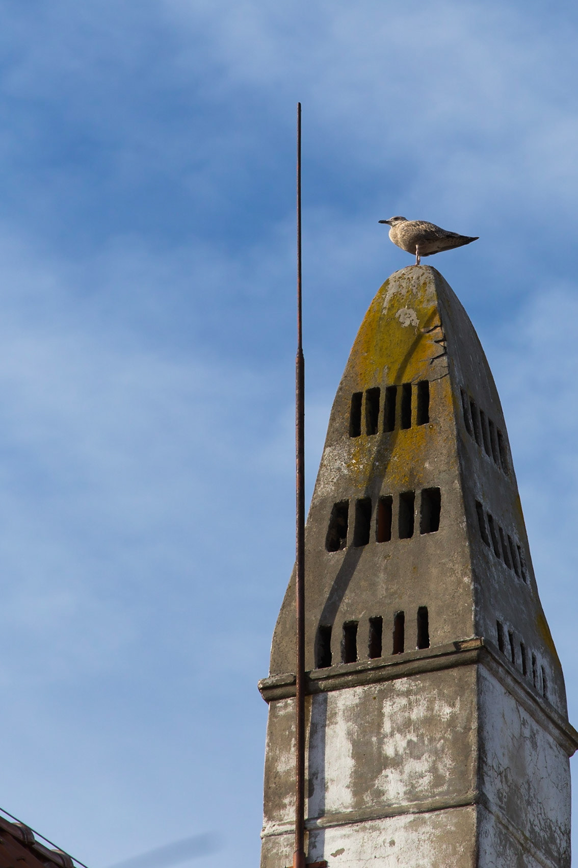 Tallinn, Harju, Estonia [Aug 2020]