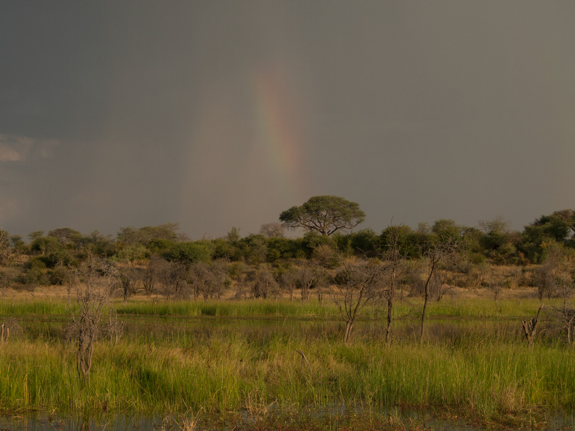 , North West, Botswana [Apr 2014]