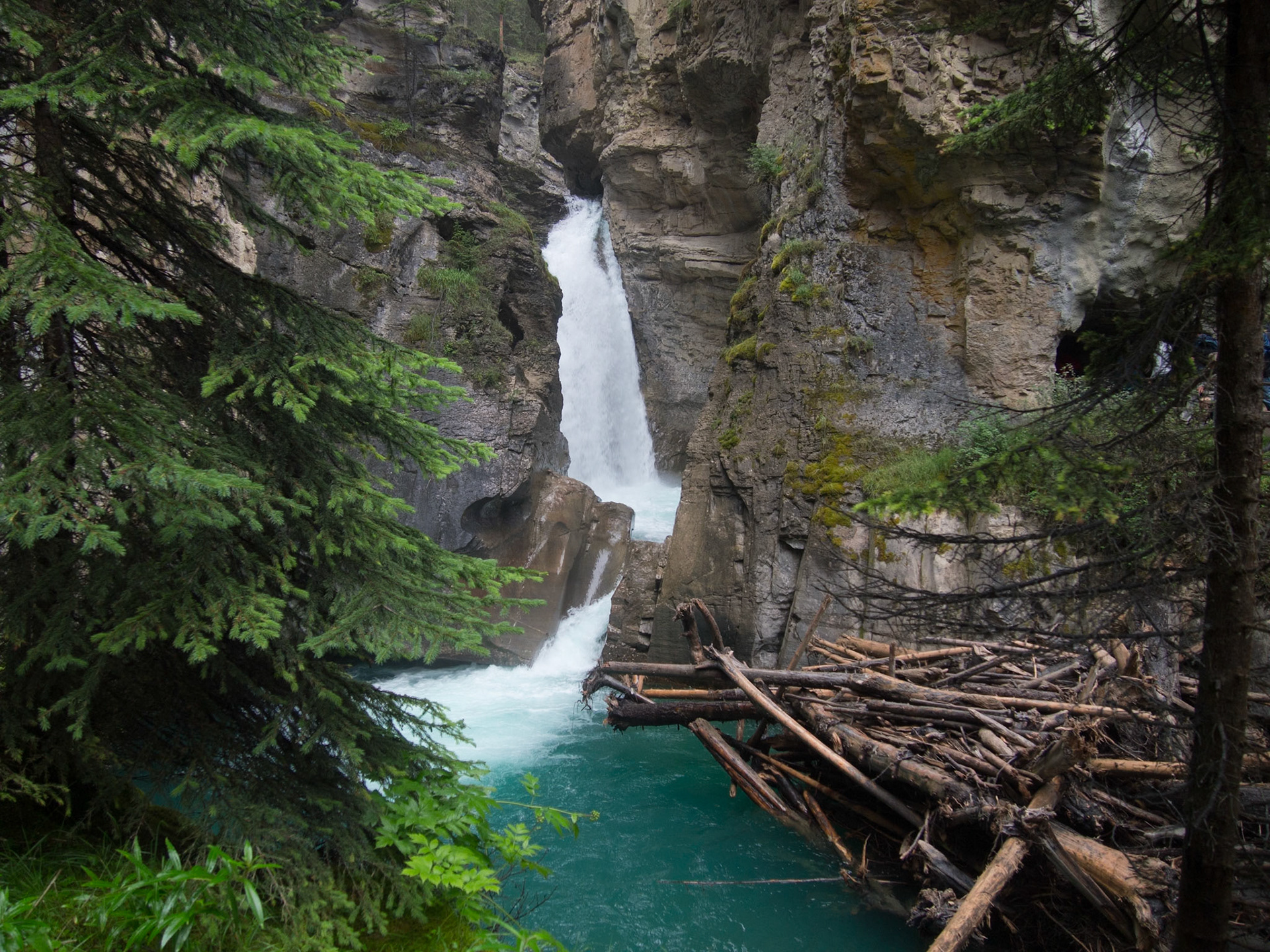 , Alberta, Canada [Aug 2014]