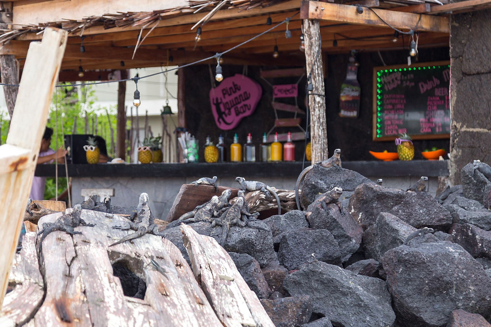 Isabela Canton, Galápagos, Ecuador [Mar 2022]