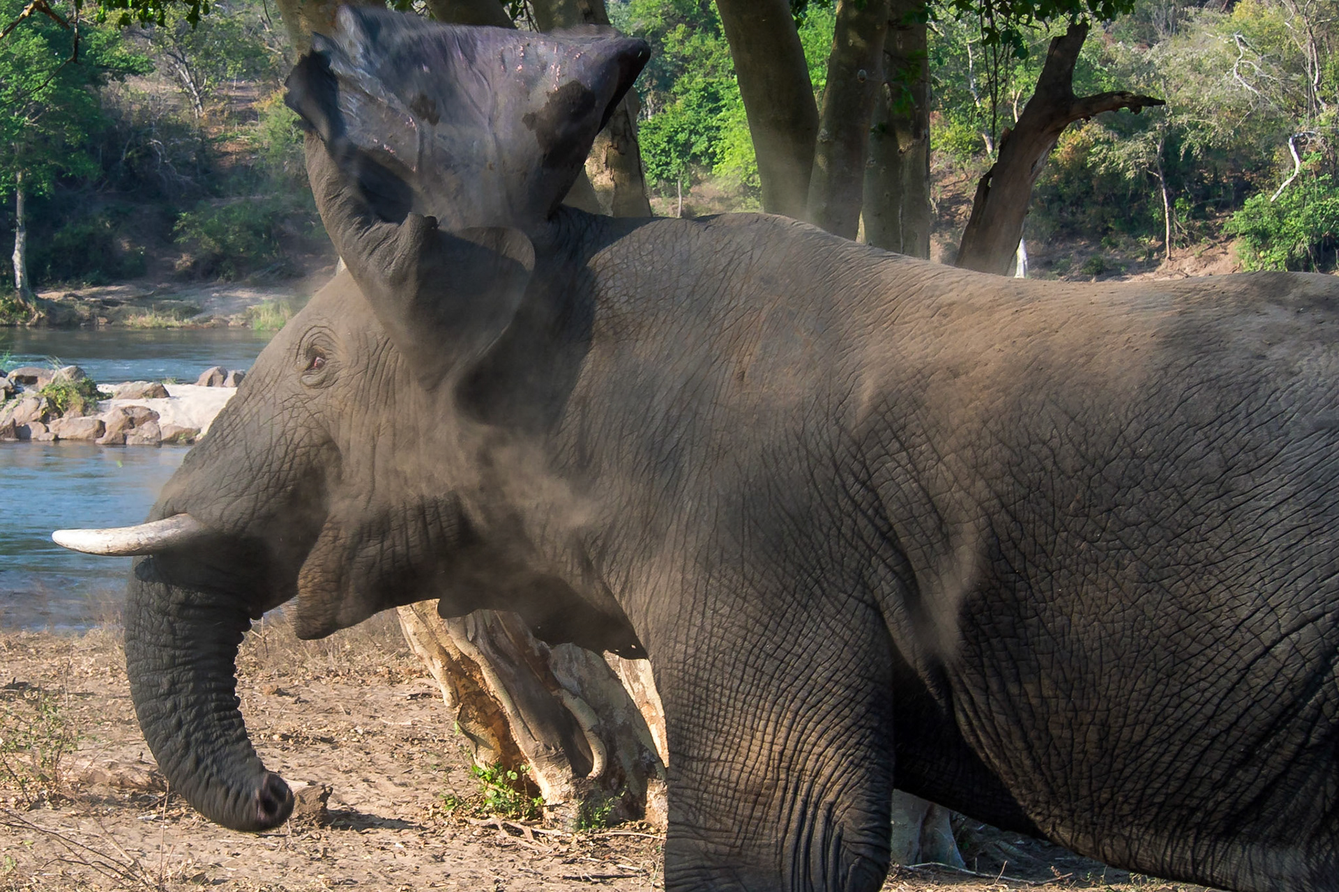 Majete Wildlife Reserve, Southern Region, Malawi [Aug 2016]