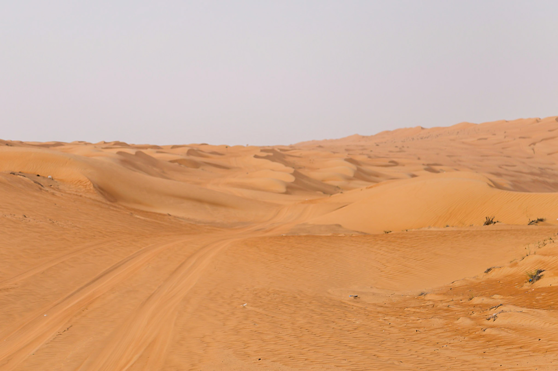 Bidiya, Ash Sharqiyah North Governorate, Oman [Apr 2018]