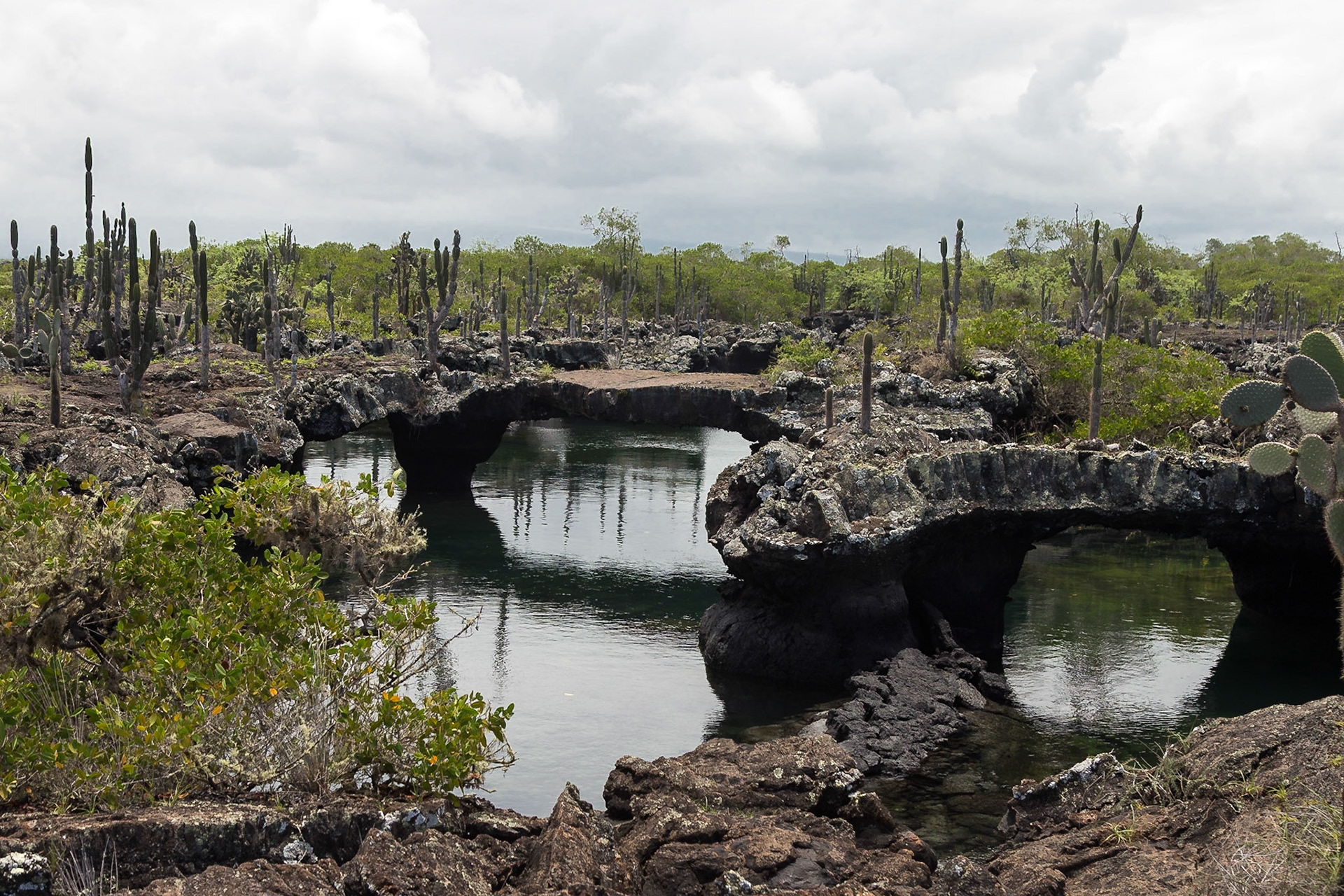 Isabela Canton, Galápagos, Ecuador [Apr 2022]