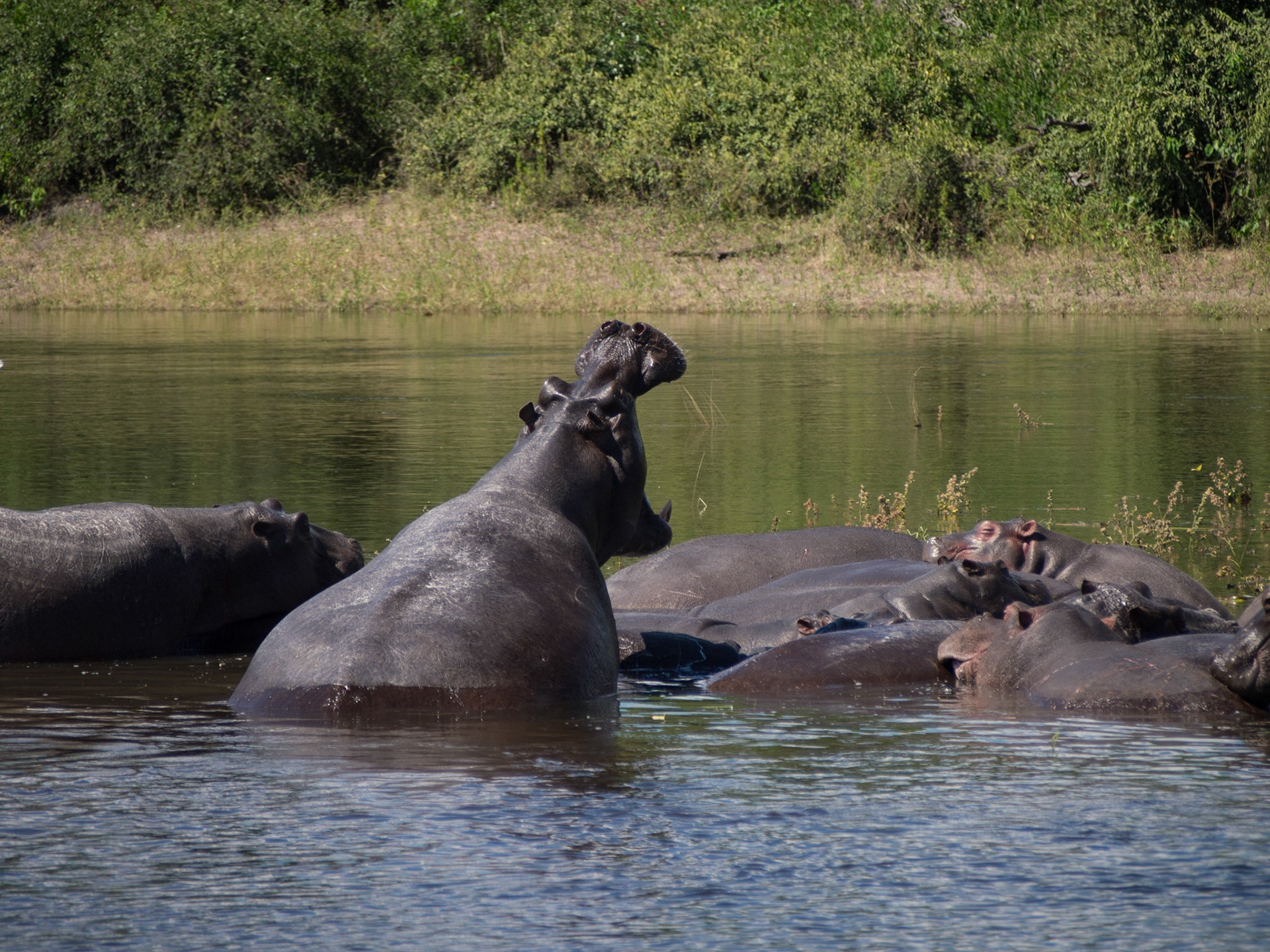 , North West, Botswana [Apr 2014]