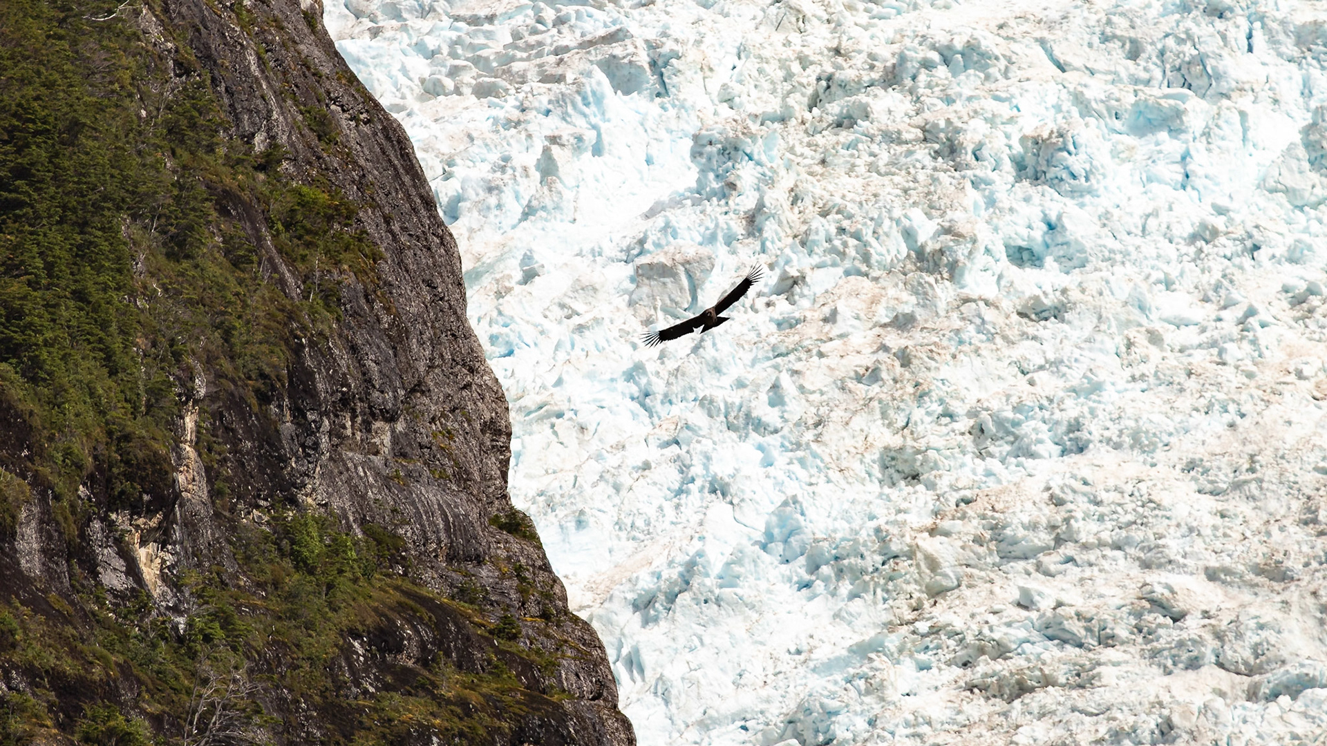 Natales, Magellan and the Chilean Antarctic, Chile [Jan 2024]