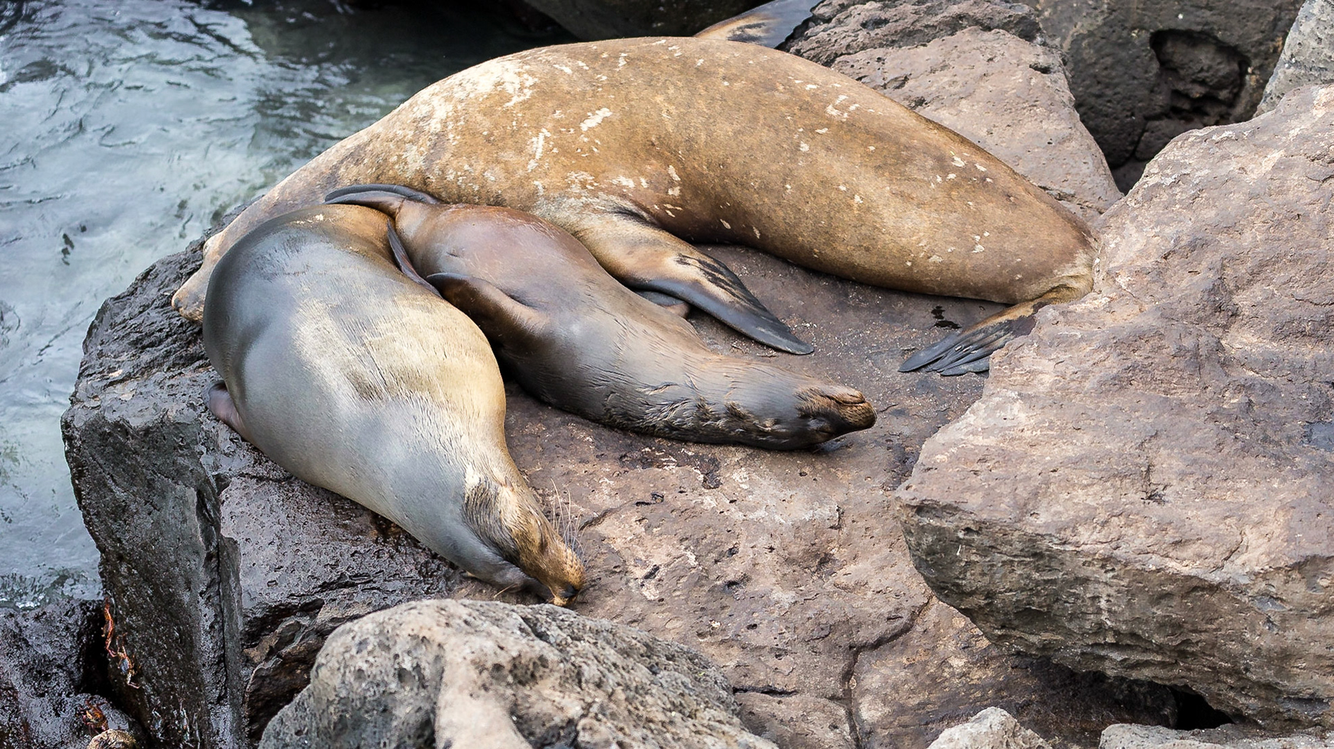 San Cristóbal Canton, Galápagos, Ecuador [Mar 2022]