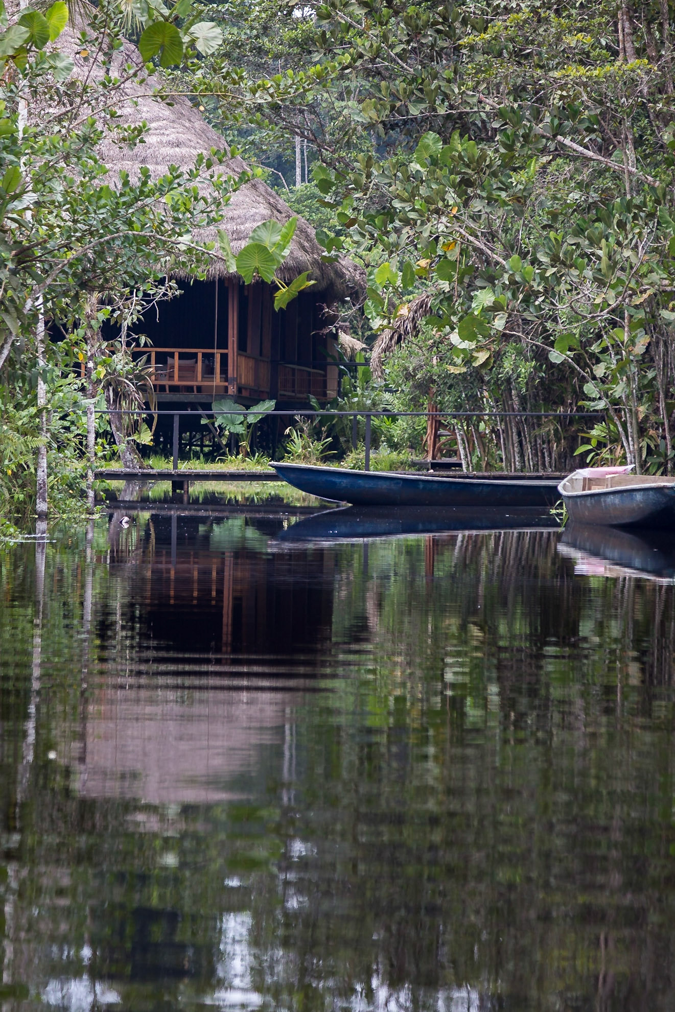 Shushufindi Canton, Sucumbíos, Ecuador [Mar 2022]